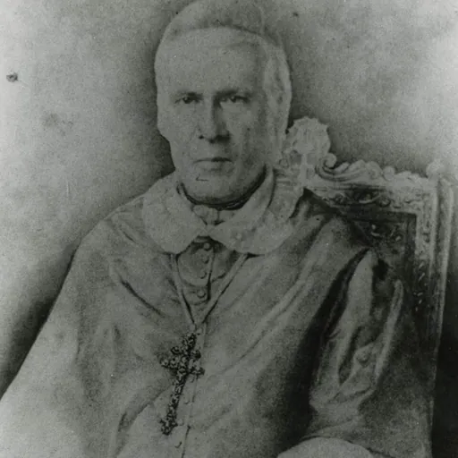 Portrait of Tomás de Portes e Infante