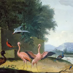 Portrait of Johannes van Bronckhorst