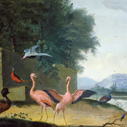 Portrait of Johannes van Bronckhorst