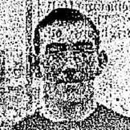 Portrait of Jack Bristow