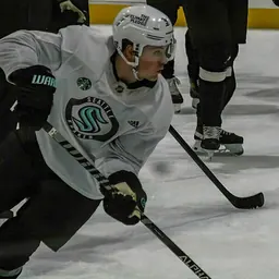 Portrait of Ryan Donato