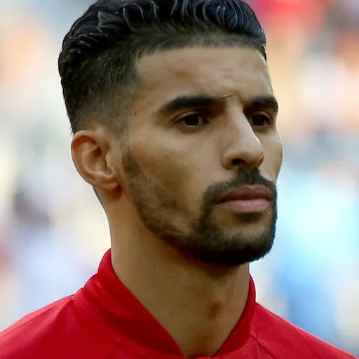 Portrait of Mbark Boussoufa