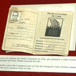 Portrait of Fabio Grobart
