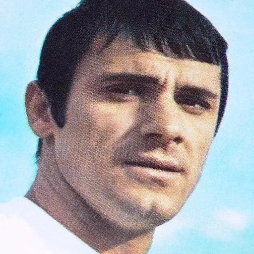 Portrait of Josip Skoblar