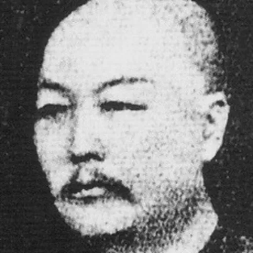 Portrait of Hoo Ah Kay