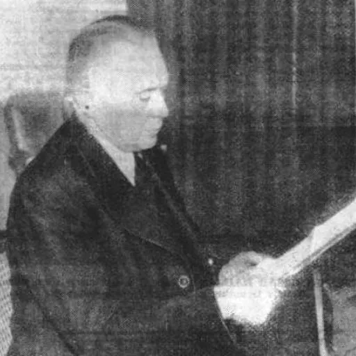 Portrait of Srđan Budisavljević