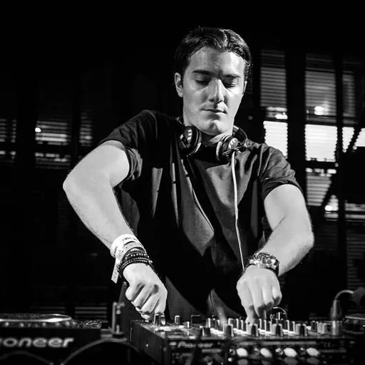Portrait of Alesso