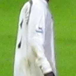Portrait of Pascal Chimbonda