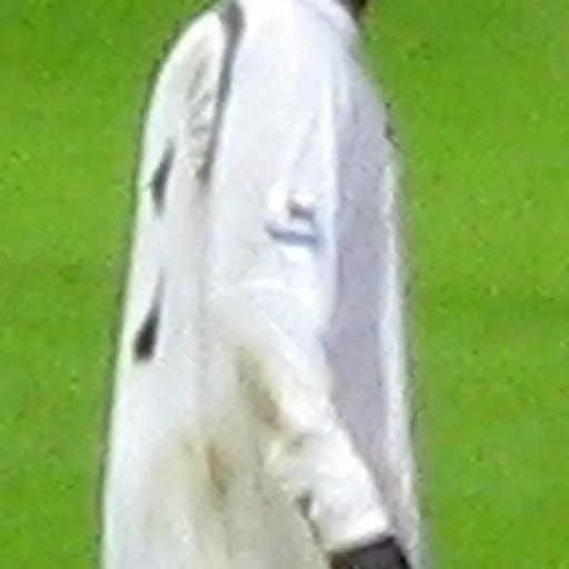 Portrait of Pascal Chimbonda