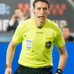 Portrait of Filip Dujic