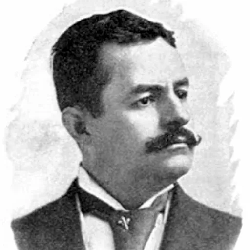 Portrait of Woolson Morse
