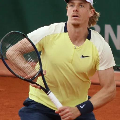 Portrait of Denis Shapovalov