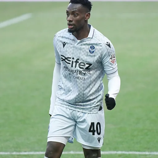 Portrait of Paul-Jose M'Poku