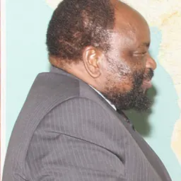 Portrait of Simbarashe Mumbengegwi