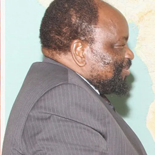 Portrait of Simbarashe Mumbengegwi