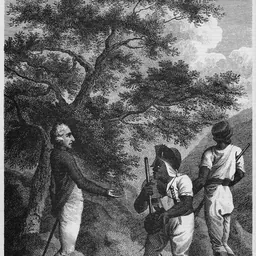 Portrait of Cudjoe