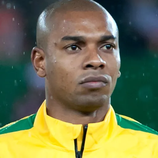 Portrait of Fernandinho