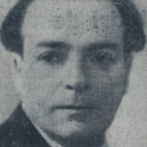 Portrait of Mihail Celarianu