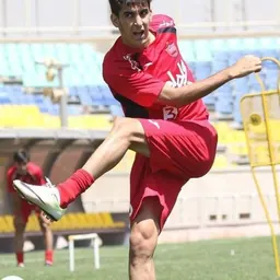 Portrait of Ehsan Alvanzadeh