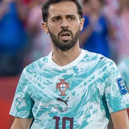 Portrait of Bernardo Silva