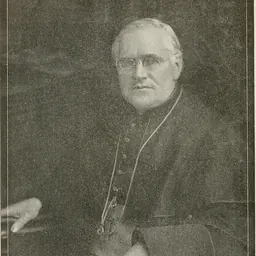 Portrait of Neil McNeil
