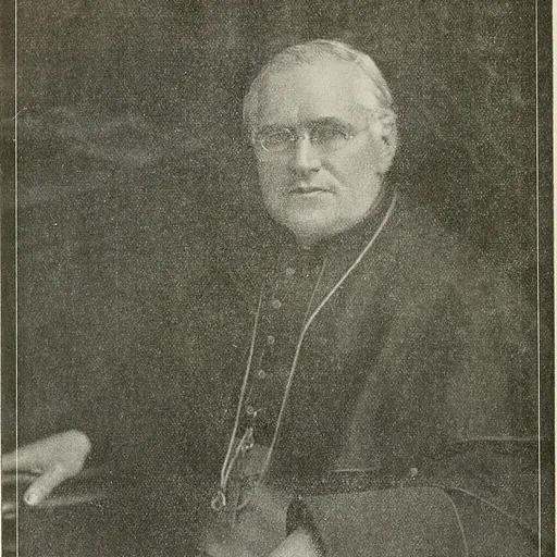 Portrait of Neil McNeil