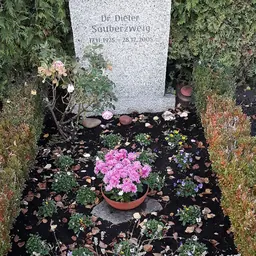 Portrait of Dieter Sauberzweig