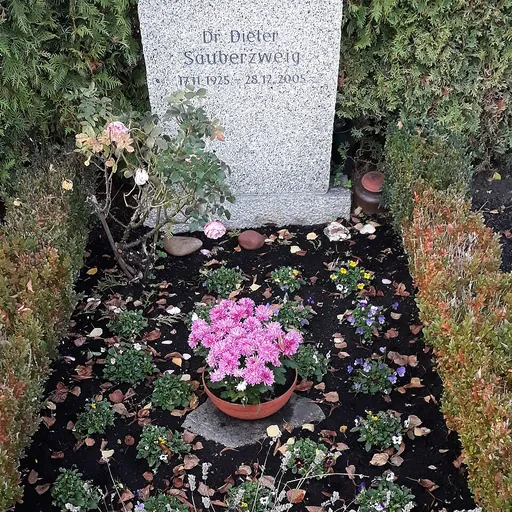 Portrait of Dieter Sauberzweig