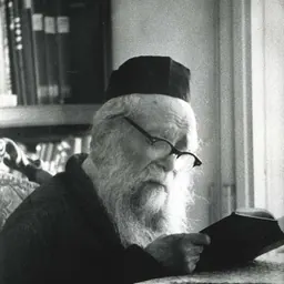 Portrait of Meir Chadash