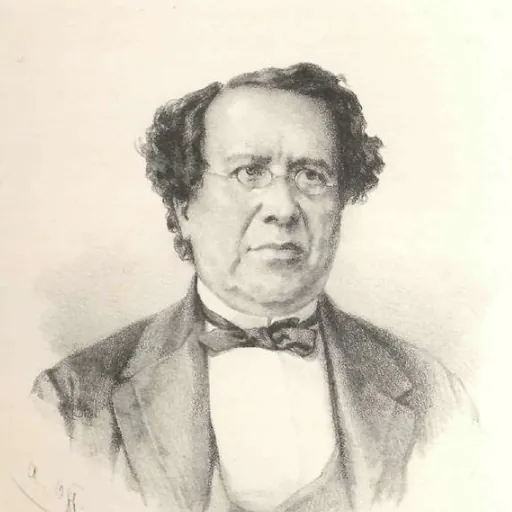 Portrait of Francisco de Sales Torres Homem, Viscount of Inhomirim