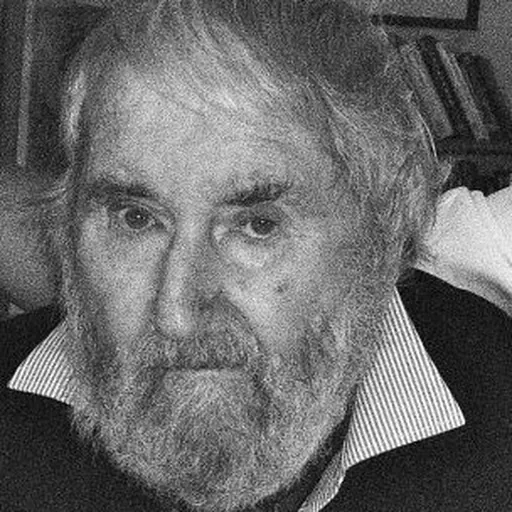 Portrait of Aidan Higgins