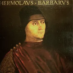 Portrait of Ermolao Barbaro