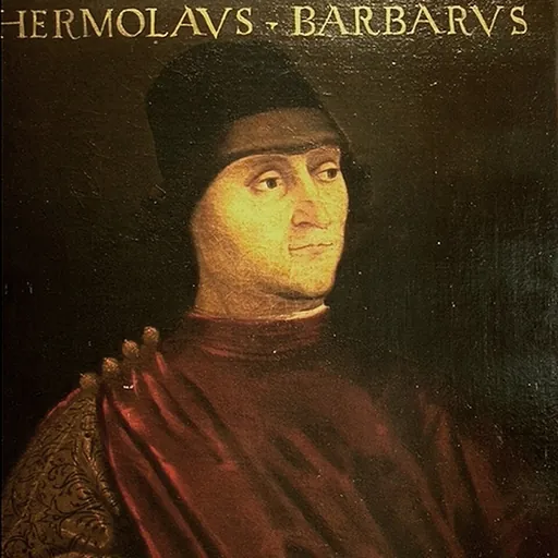 Portrait of Ermolao Barbaro