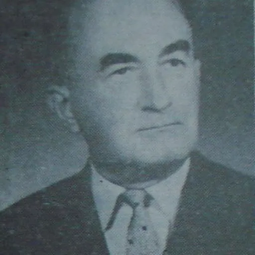 Portrait of Emilian Bratu
