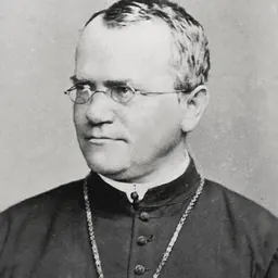 Portrait of Gregor Mendel