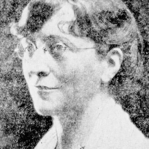 Portrait of Eleanor Hague