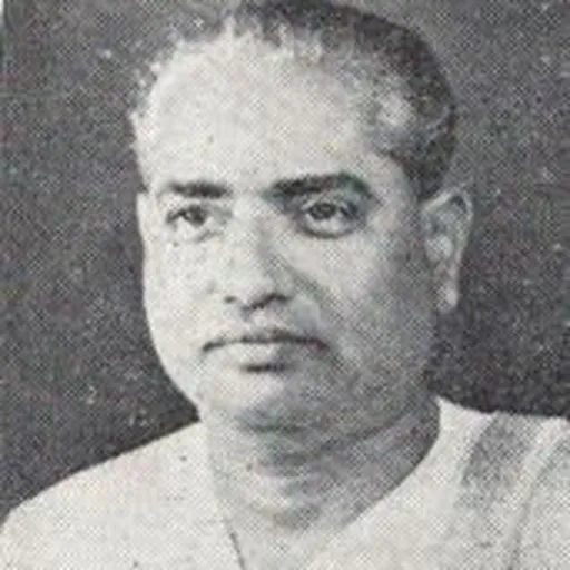 Portrait of D. Balasubramaniam