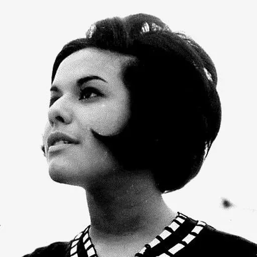 Portrait of Elis Regina