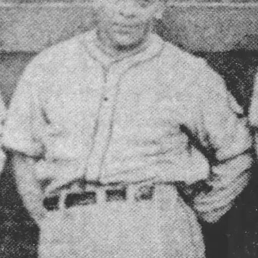 Portrait of Billy Rhiel