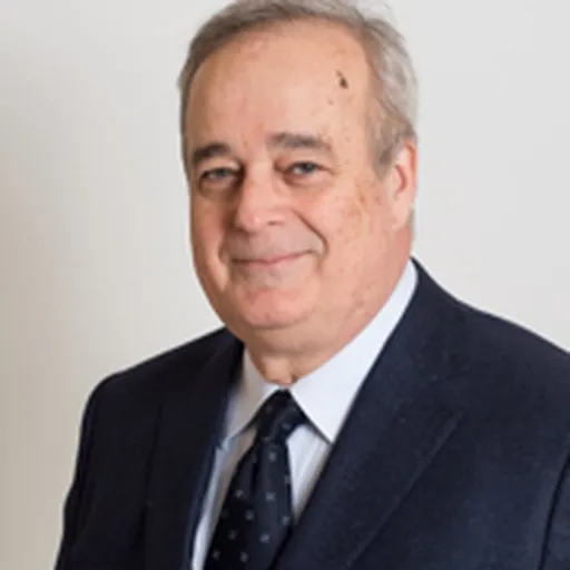 Portrait of Gianclaudio Bressa