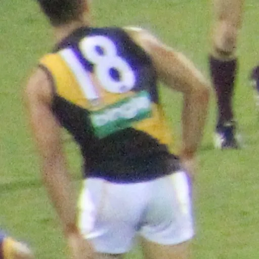 Portrait of Alex Rance