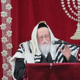 Portrait of Elyakim Schlesinger