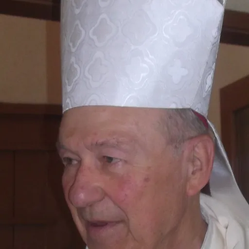 Portrait of Irineu Sílvio Wilges