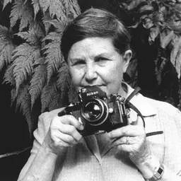 Portrait of Zélia Gattai