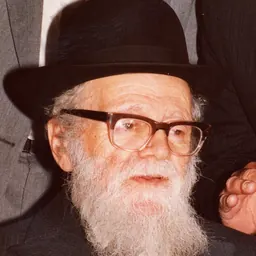 Portrait of Shaul Yisraeli