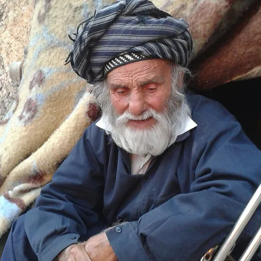 Portrait of Hossein Kohkan