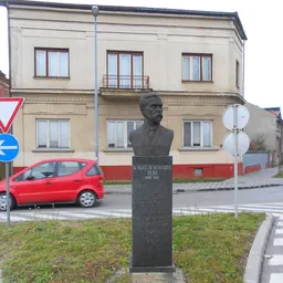 Portrait of Vojislav Kecmanović