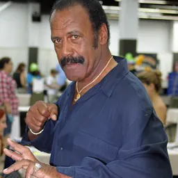 Portrait of Fred Williamson