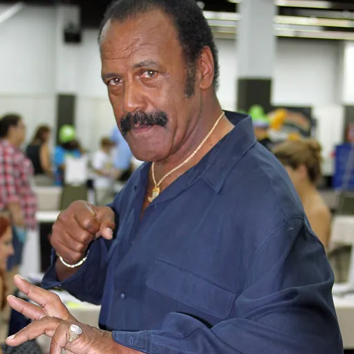 Portrait of Fred Williamson