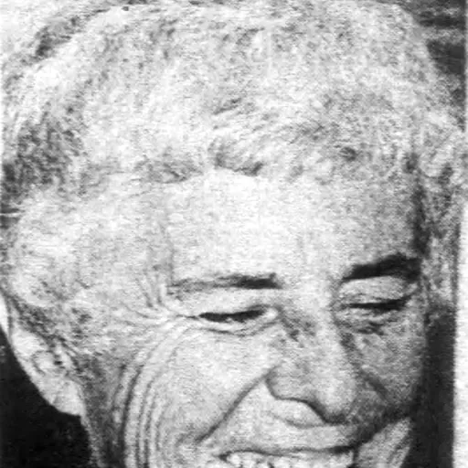 Portrait of Monika Kehoe